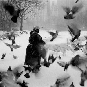 父亲写的散文诗