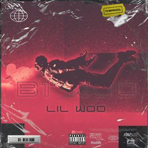 B1 WOO