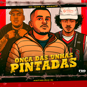 Onça Das Unhas Pintadas