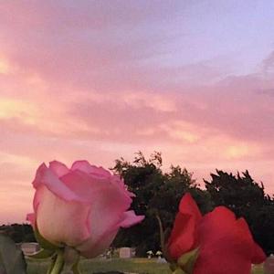 安和桥（翻自 宋冬野）