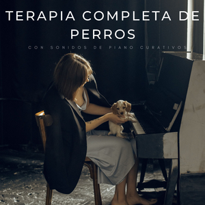 Susurros De Piano Suave