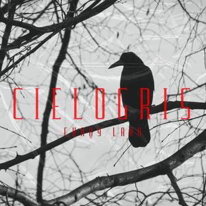Cielo Gris