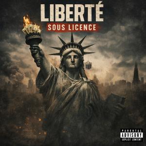 Liberté sous licence