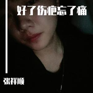 张祥顺 - 好了伤疤忘了痛