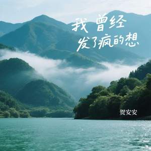 我曾经发了疯的想