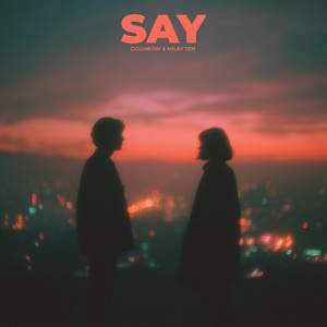 Say