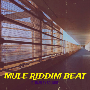 Mule Riddim Beat