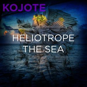 Heliotrope