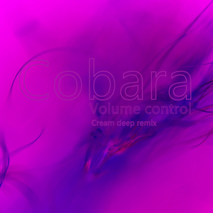 Volume control (Original Mix)