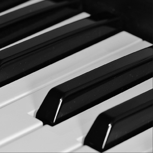 【交响改编】知更鸟-希望有羽毛和翅膀