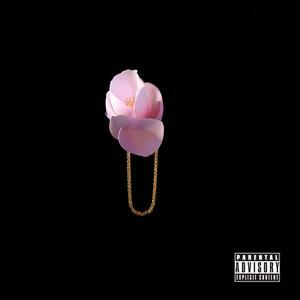 The year of the lesbian