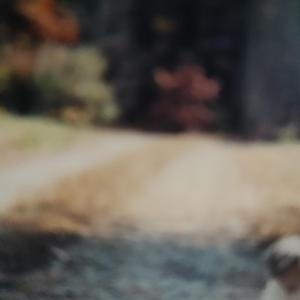 E§14 Let's Meet When the Moon is Full