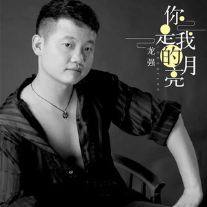 你是我的月亮