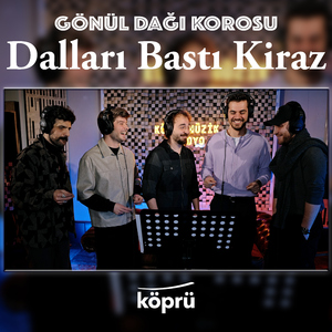 Dalları Bastı Kiraz