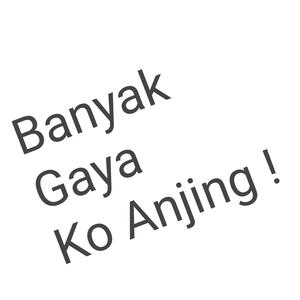 Banyak Gaya Ngerepotin