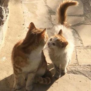 give it a go (feat. Micoye)