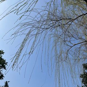 风吹过斑驳的窗