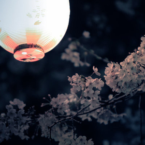 【杨花雪】二胡版