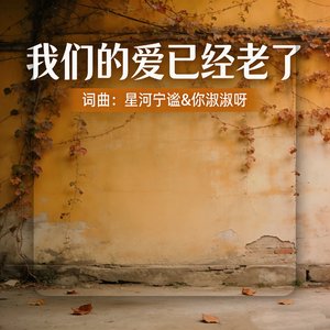 我们的爱已经老了