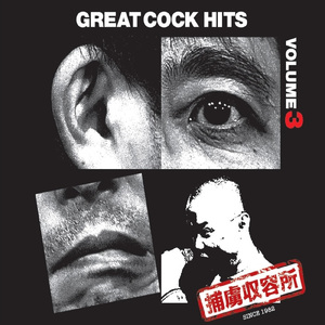 第二次性徴期のうた