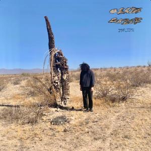 Coolest Music From AZ