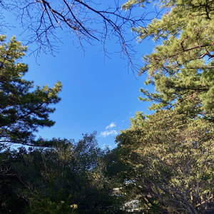 好天 (ライブ at 茅ケ崎 2024)