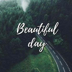 It's a PEACEFUL rainy day 🌧 calm your anxiety, relaxing music