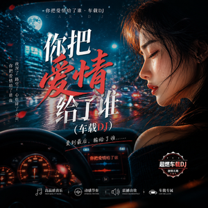 你把爱情给了谁（车载DJ remix）