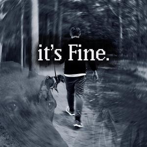 It's Fine