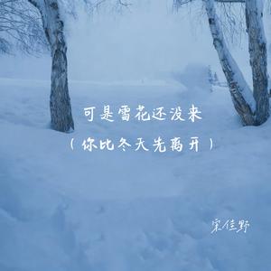 可是雪花还没来 (你比冬天先离开)