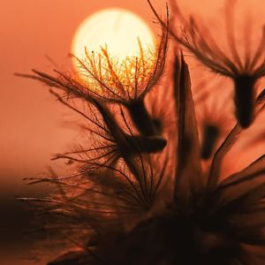 永恒形状的梦幻宇宙之音