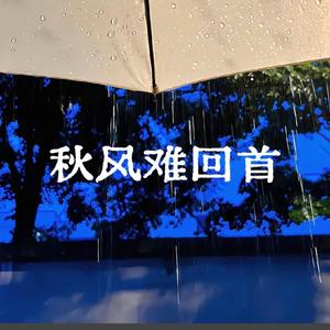 秋风难回首