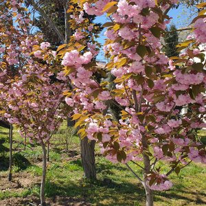 Краски поблекли...