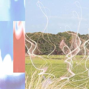 shush (don't spill it)