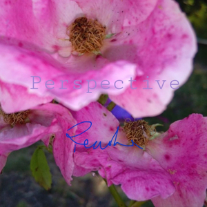 Beautiful Daydream (Dream Edition)