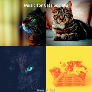 Understated (Kittens)