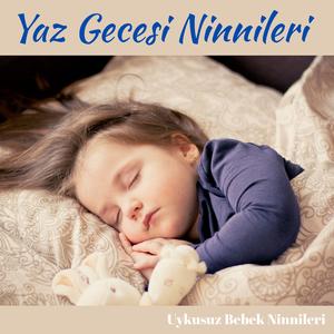 Sinek Vızıltısında Rüya
