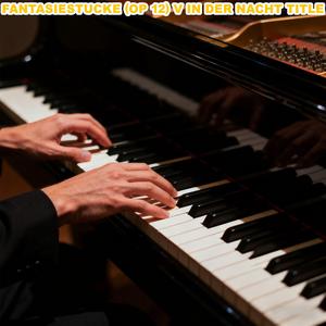 Fantasiestucke (Op 12) V In Der Nacht Title