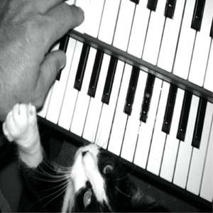 Forever Friends Tune