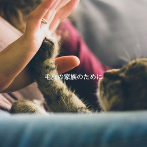 Majestic Friendly Lunches