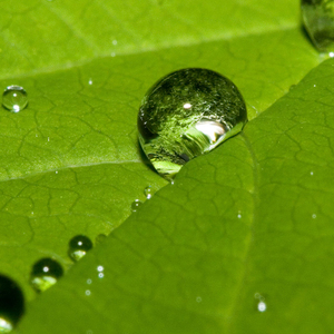 问世间穿过多少流年
