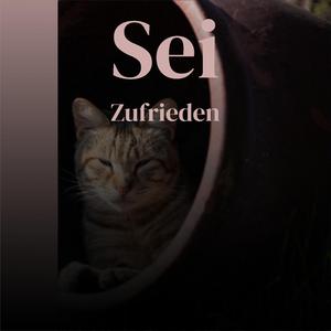 You Say the Nicest Things