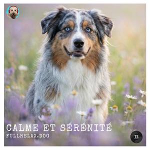 Calme et sérénité