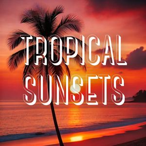 House Vibes under the Tropical Sky