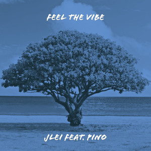 Feel the Vibe