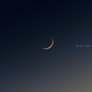 밤공기가 좋은 날