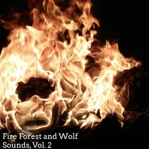 Morning Humming Birds and Fire