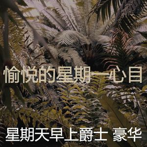 抚慰的餐厅回忆