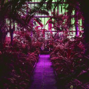 Pattern Of The Ocean