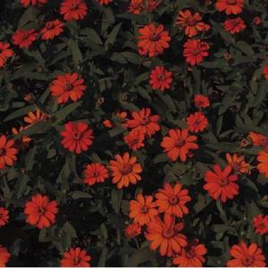 回响(Prod by 姚姚)